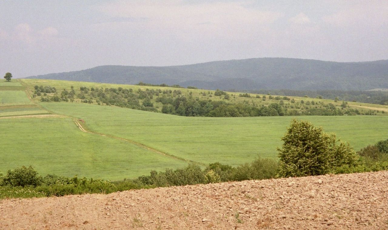 Działka rolna Witryłów