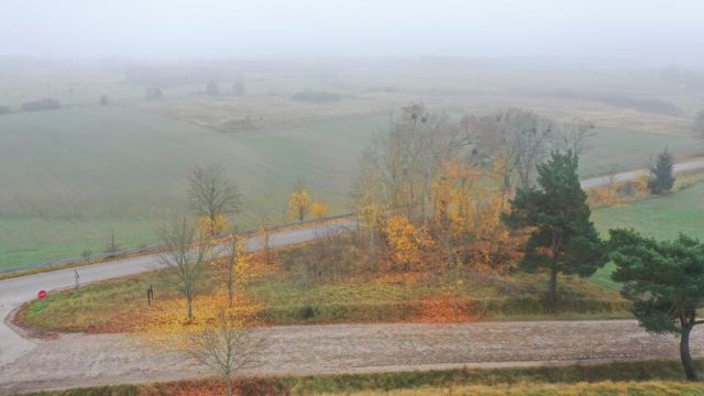 Działka rolna Dziubiele. Zdjęcie 7