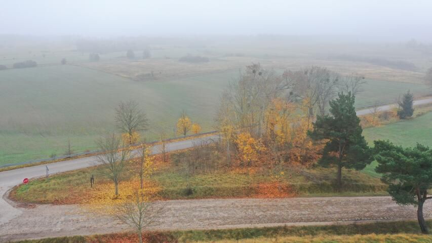 Działka rolna Dziubiele. Zdjęcie 7