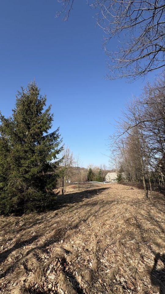 Działka budowlana Świeradów-Zdrój, ul. Sudecka. Zdjęcie 6