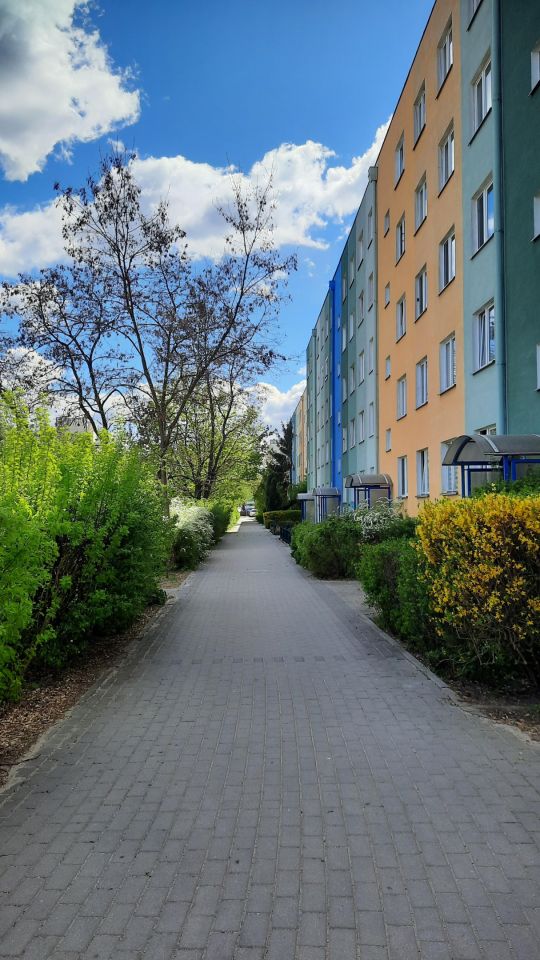 Mieszkanie 3-pokojowe Toruń Na Skarpie, ul. kard. Stefana Wyszyńskiego. Zdjęcie 23