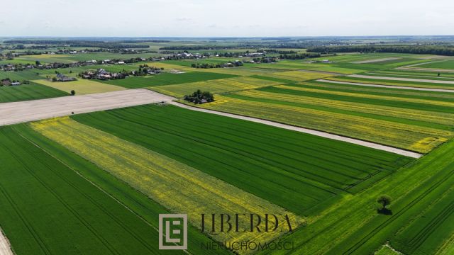 Działka budowlana Jabłonna-Majątek. Zdjęcie 3