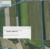 Działka rolna Jelno. Zdjęcie 2