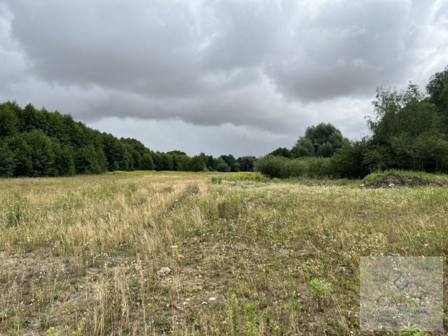 Działka budowlana Żarowo. Zdjęcie 5