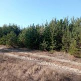 Działka budowlana Stanisławów, Skrajna. Zdjęcie 1