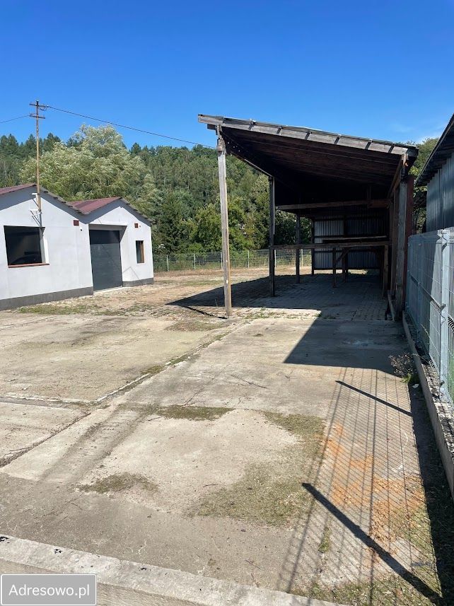 Hala/magazyn Przywidz. Zdjęcie 3