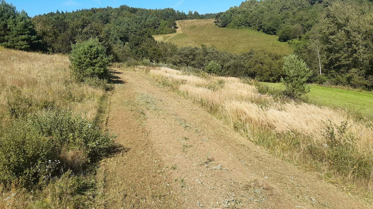 Działka rolno-budowlana Hoczew. Zdjęcie 13