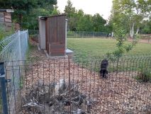 Działka rod Radom Firlej, ul. Wincentego Witosa. Zdjęcie 3