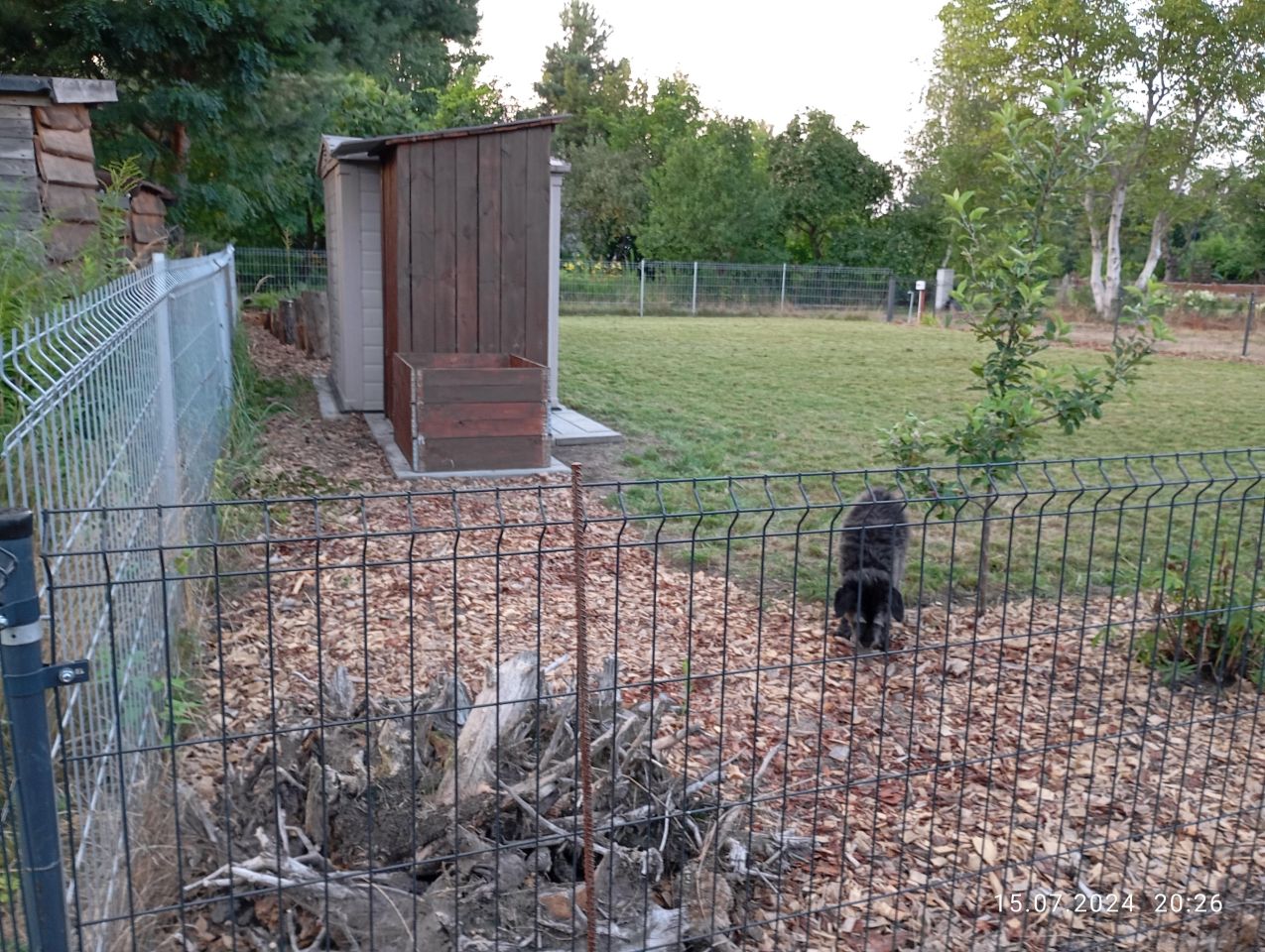 Działka rod Radom Firlej, ul. Wincentego Witosa. Zdjęcie 4