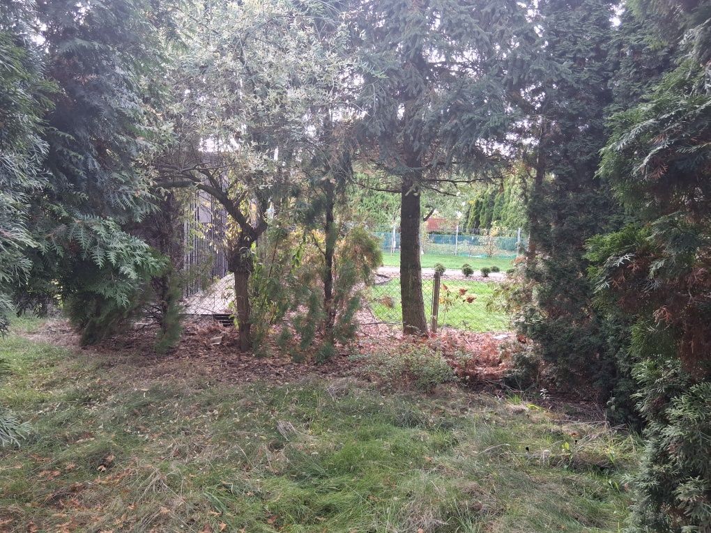 Działka rod Kalisz. Zdjęcie 2