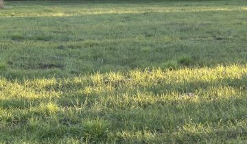 dom wolnostojący, 2 pokoje Borki Kamieniec