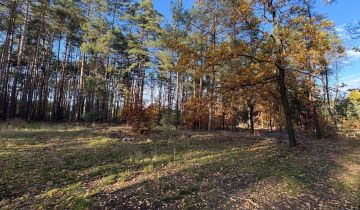 Działka leśna Marynin, ul. Gospodarcza