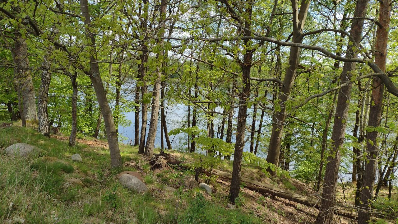 Działka rekreacyjna Jeleń. Zdjęcie 9