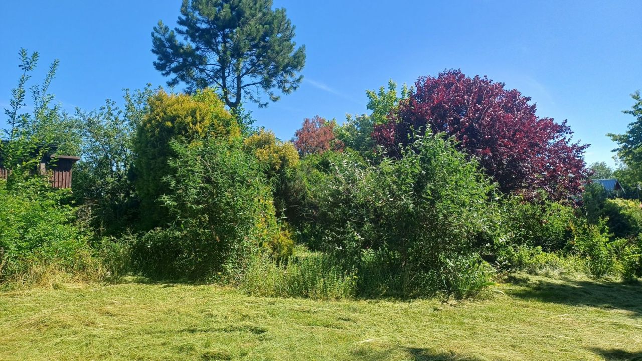 Działka rod Przemyśl. Zdjęcie 7