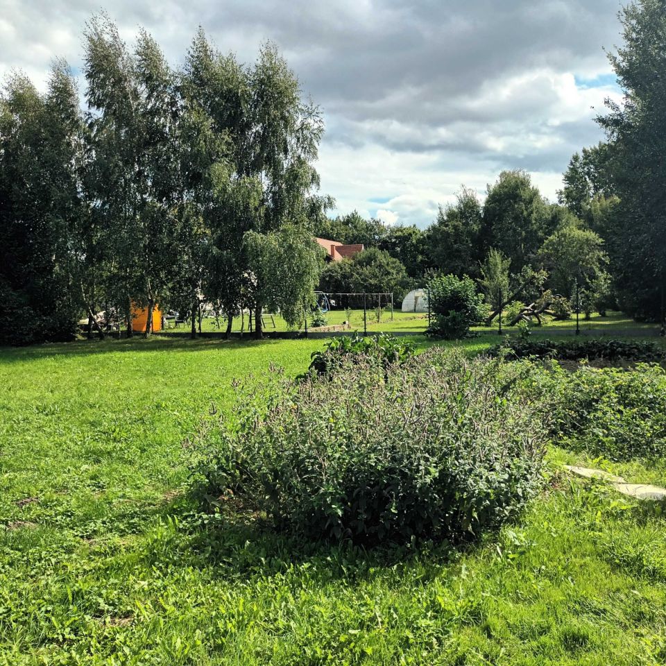 siedlisko Strzelinko. Zdjęcie 7