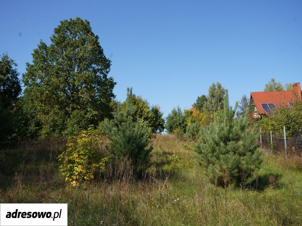 Działka budowlana Goryń. Zdjęcie 6