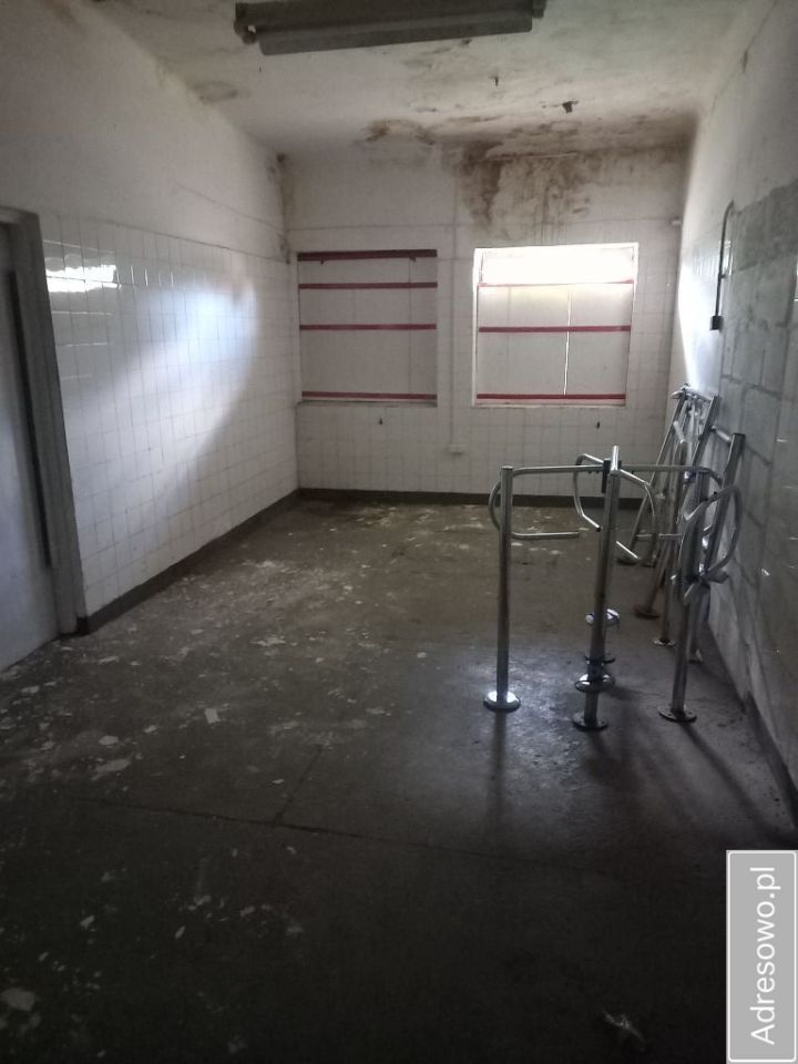 Lokal Ciechanów Centrum, ul. Henryka Sienkiewicza. Zdjęcie 7