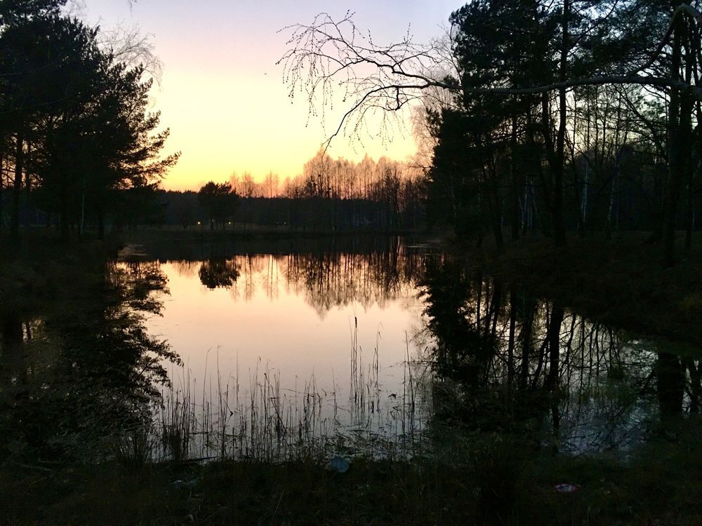 Działka budowlana Janinów, ul. Kanadyjska. Zdjęcie 3