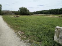 Działka budowlana Borowa, ul. Klonowa. Zdjęcie 3