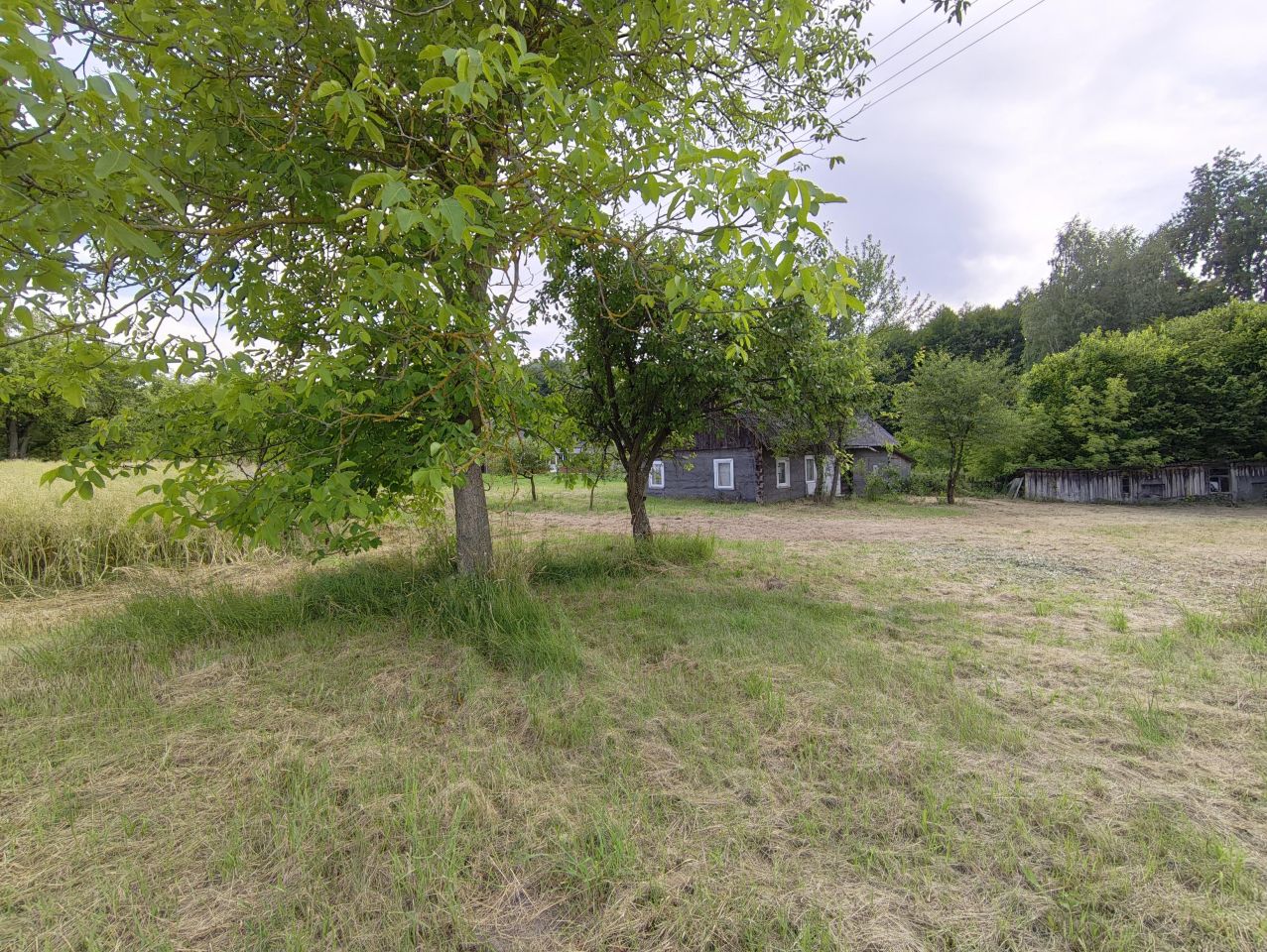 Działka rolno-budowlana Stawki Szkorutyniec. Zdjęcie 12