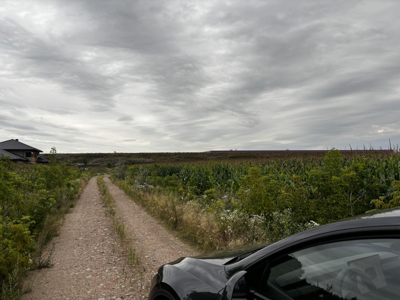 Działka budowlana Teresin, ul. Sarnia. Zdjęcie 9