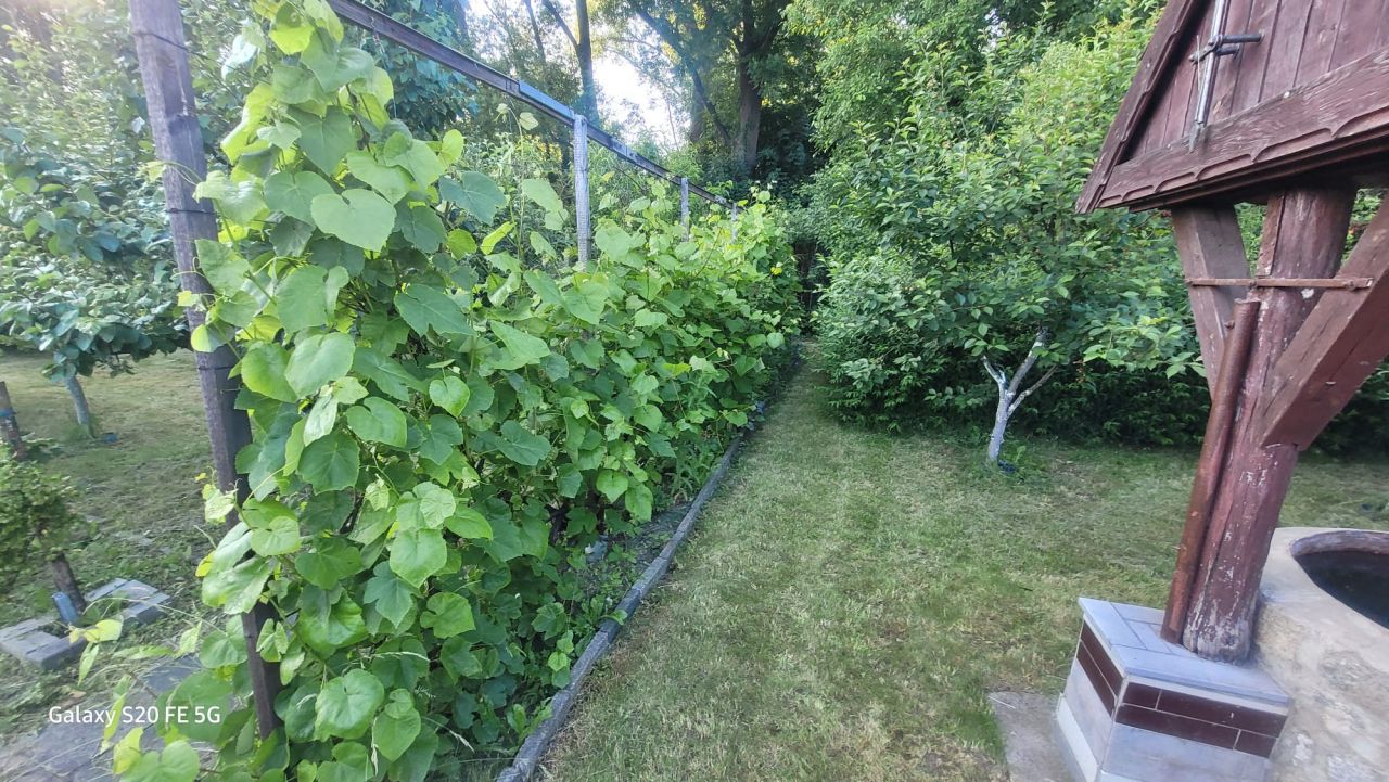 Działka rod Żary, ul. Pszenna. Zdjęcie 13