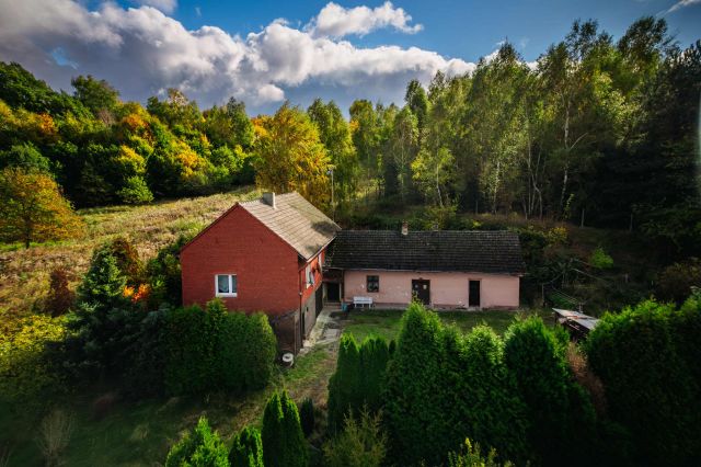 dom wolnostojący, 4 pokoje Kobyla, ul. Willowa. Zdjęcie 1