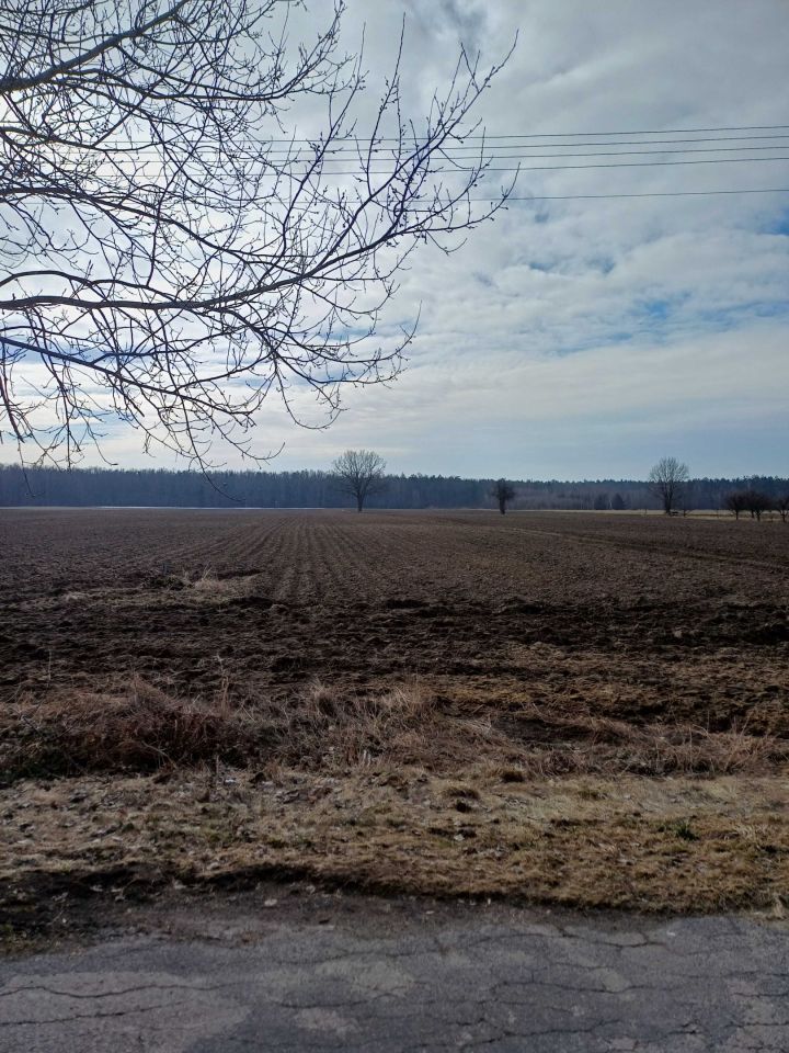 Działka budowlana Dąbrowa Tarnawacka. Zdjęcie 3