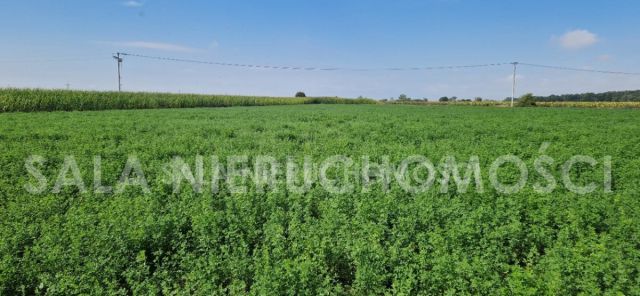 Działka budowlana Mochle. Zdjęcie 4