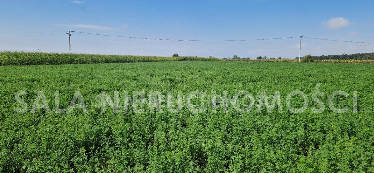 Działka budowlana Mochle. Zdjęcie 4