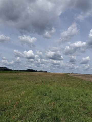 Działka rolno-budowlana Borki Siedleckie, ul. Leśna. Zdjęcie 1
