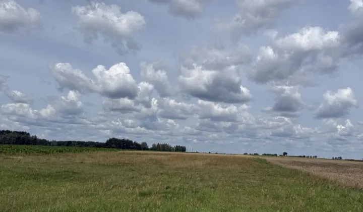 Działka rolno-budowlana Borki Siedleckie, ul. Leśna