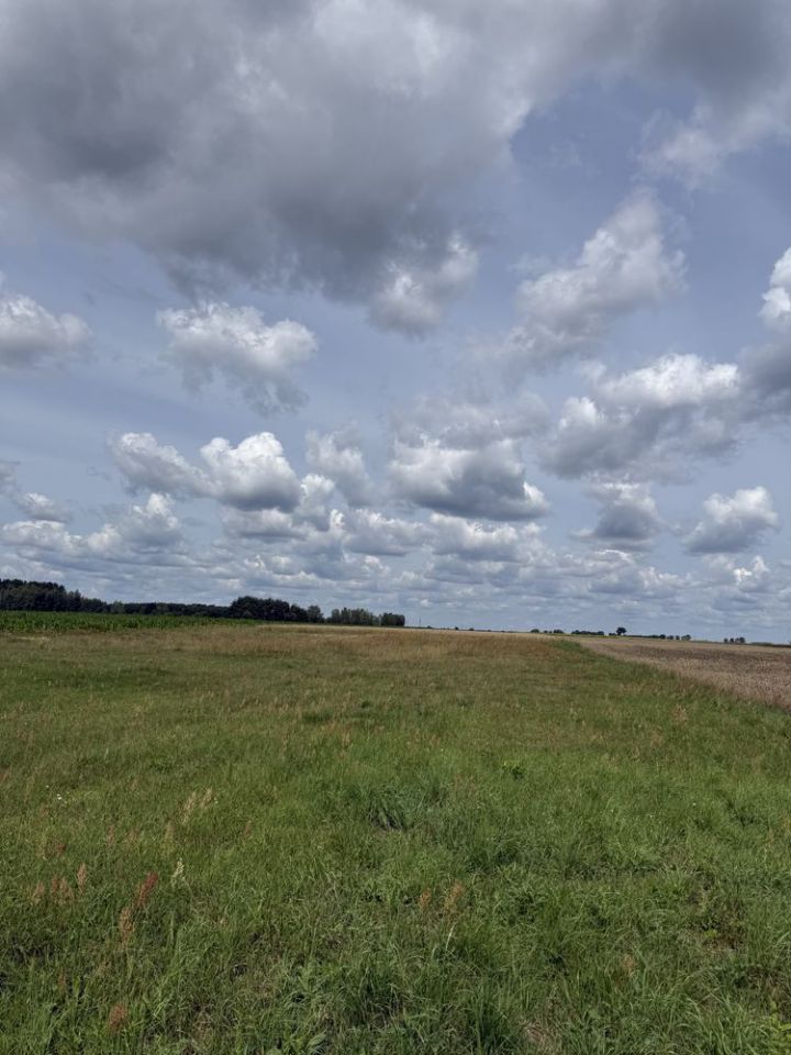 Działka rolno-budowlana Borki Siedleckie, ul. Leśna. Zdjęcie 1
