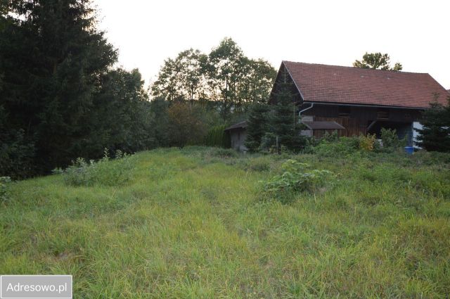 Działka budowlana Czerwieńczyce. Zdjęcie 1