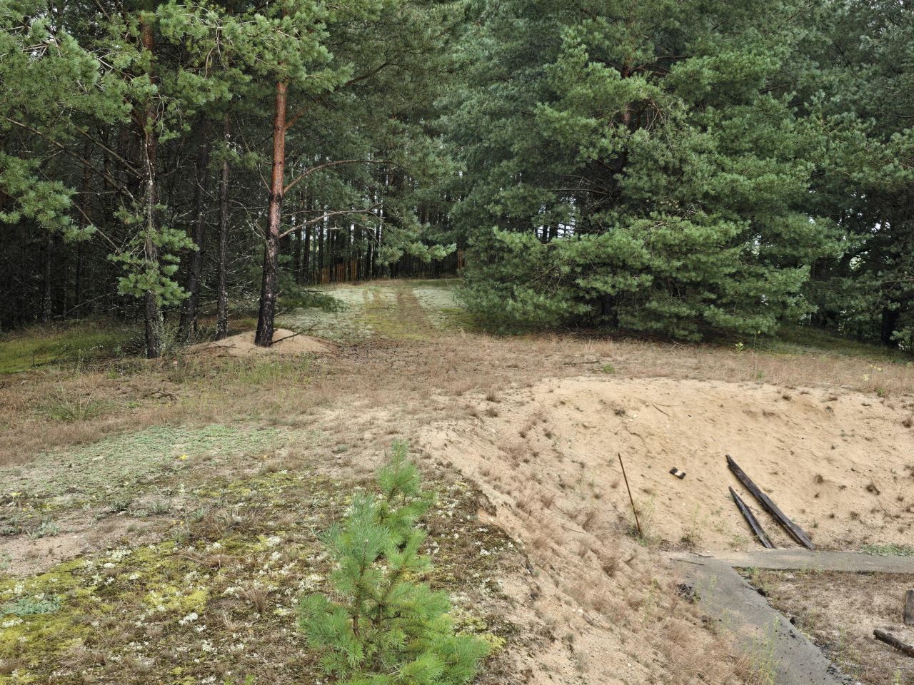 Działka budowlana Rolbik. Zdjęcie 10