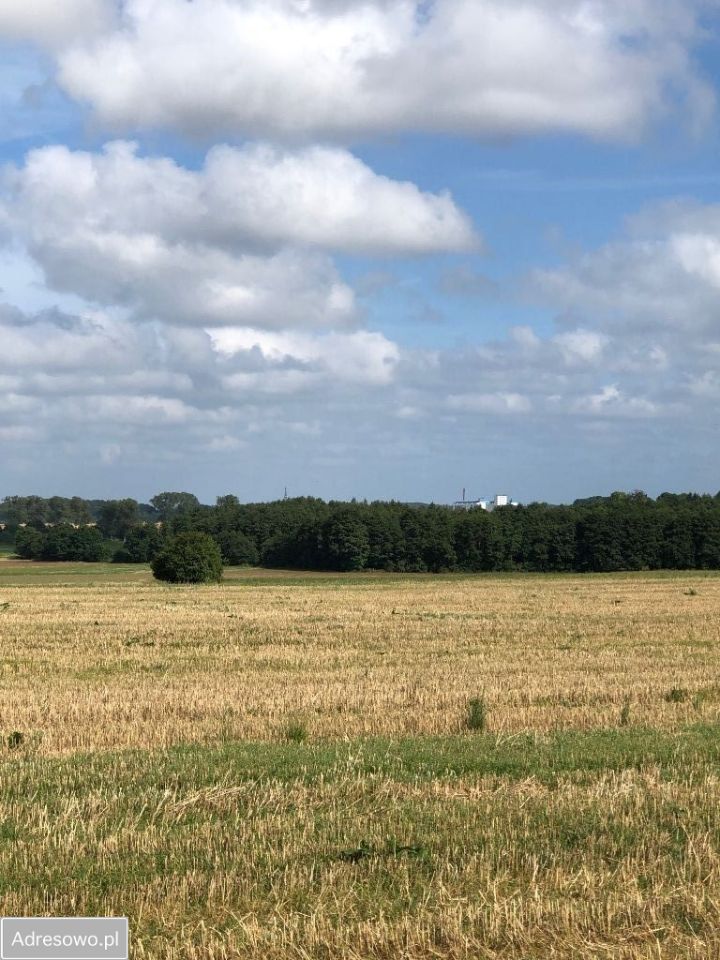 Działka budowlana Łekno. Zdjęcie 5