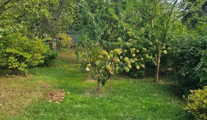 Działka rod Gorlice, ul. Błażeja i Stanisława Wrońskich