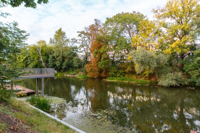 Mieszkanie 1-pokojowe Wrocław, ul. Walońska. Zdjęcie 10