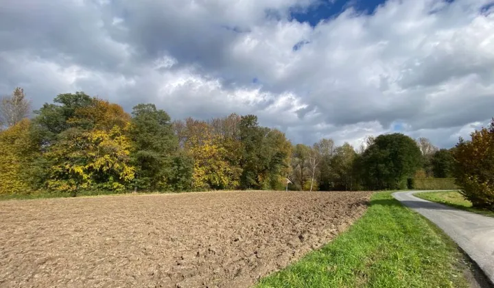 Działka rolno-budowlana Nowy Borek