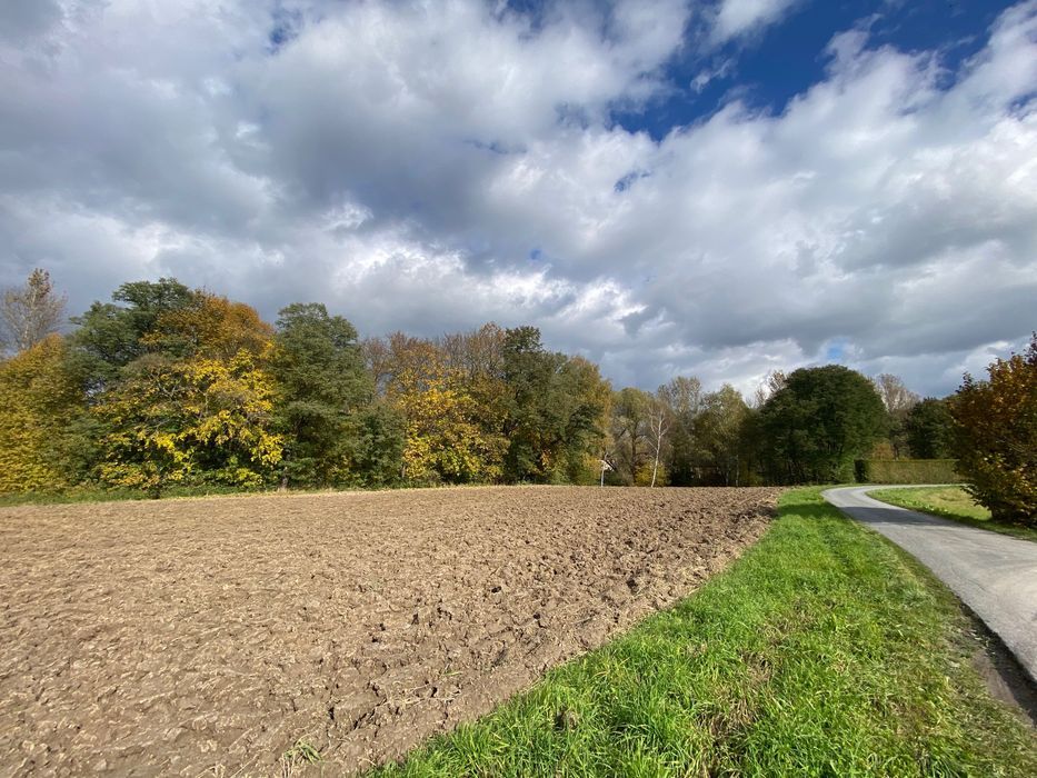 Działka rolno-budowlana Nowy Borek