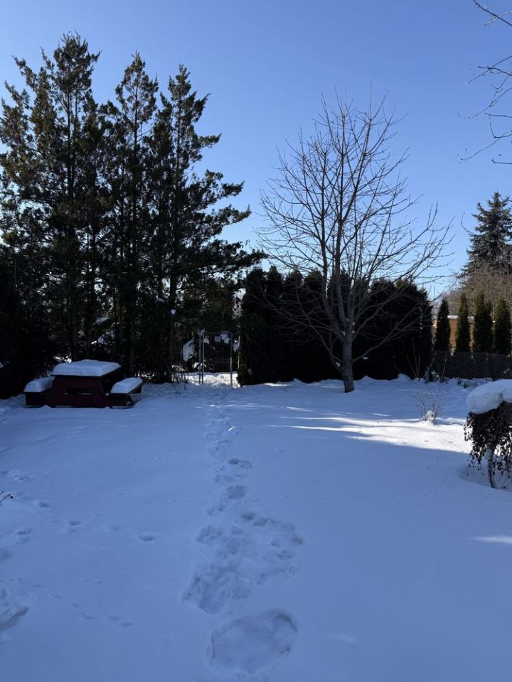 Działka rod Zakroczym. Zdjęcie 7