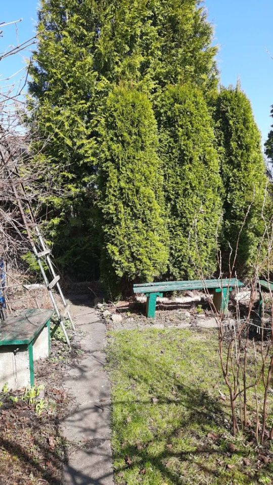 Działka rod Olsztyn, al. Aleja Generała Władysława Sikorskiego. Zdjęcie 5