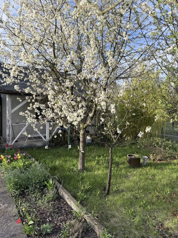 Działka rod Wrocław Fabryczna, ul. Klecińska. Zdjęcie 4