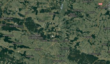 Działka leśna Kozłówek