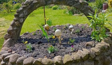 Działka rod Gdańsk Olszynka, ul. Modra