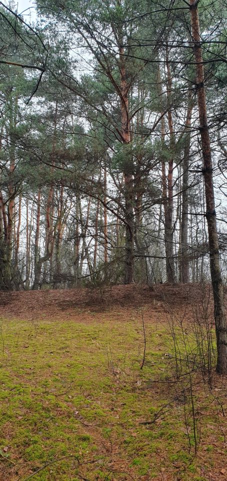 Działka rekreacyjna Nowe Łachy. Zdjęcie 17