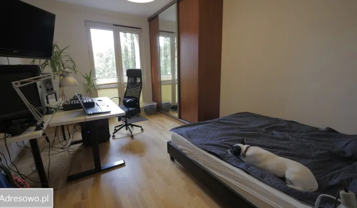 Mieszkanie 2-pokojowe Mielec, ul. Ludwika Solskiego