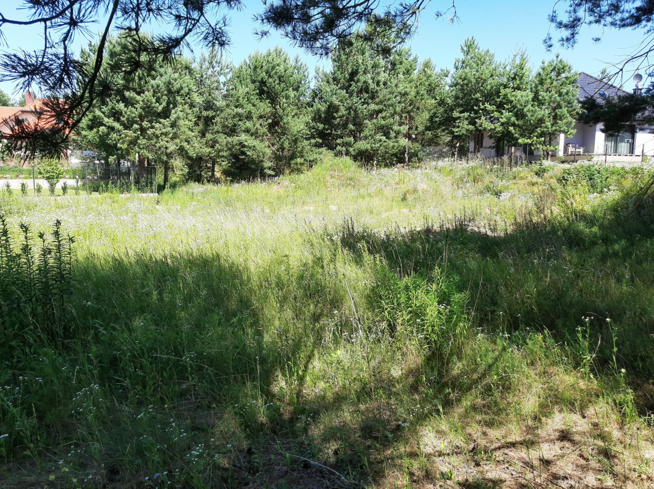 Działka rolno-budowlana Ełk Szyba, ul. Baranki. Zdjęcie 6