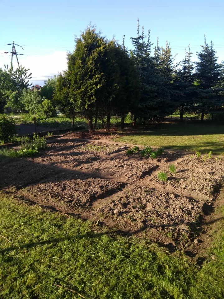 Działka rekreacyjna Żuromin, ul. Nowa. Zdjęcie 7