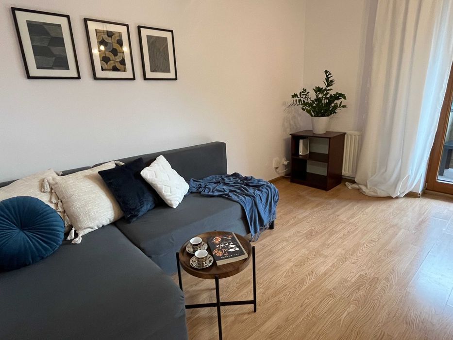 Mieszkanie 1-pokojowe Kraków Ruczaj, ul. Lubostroń